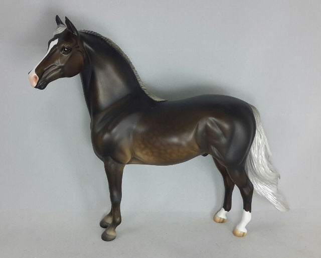 BERGAMOT - Chocolate Palomino Morgan