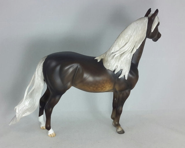 BERGAMOT - Chocolate Palomino Morgan