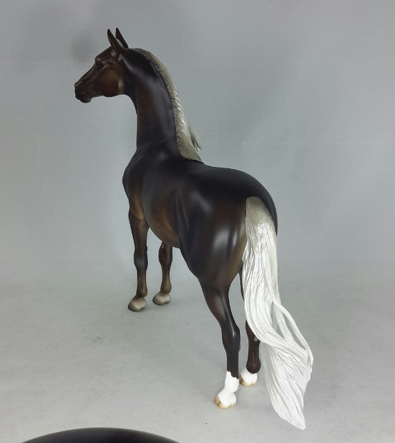 BERGAMOT - Chocolate Palomino Morgan