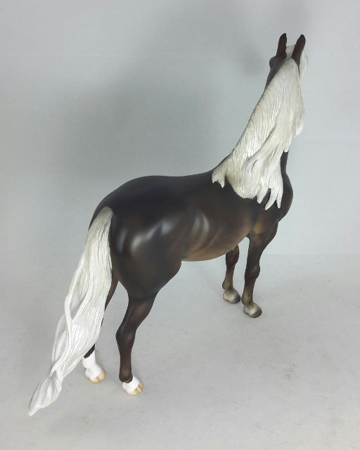 BERGAMOT - Chocolate Palomino Morgan