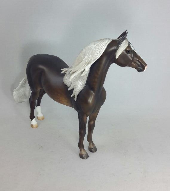 BERGAMOT - Chocolate Palomino Morgan