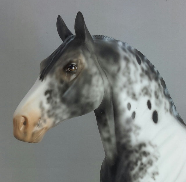 THUNDERHEAD - OOAK Appaloosa Standing Draft Horse