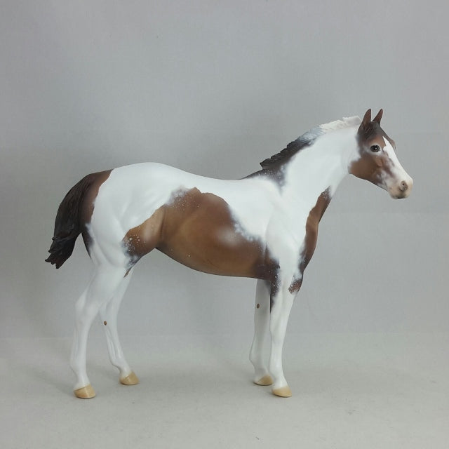 MS. FROSTY - OOAK BAY PINTALOOSA