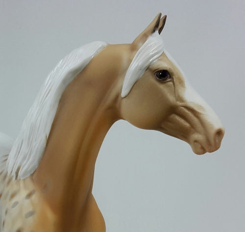 MAIZE - OOAK Palomino Appaloosa Morgan Model Horse