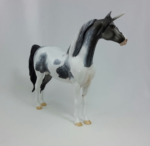 SQUANTO - OOAK Dapple Gray Pinto Unicorn Morgan