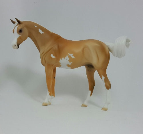 PUMPKIN CHEESECAKE - Palomino Pinto Arabian Pebbles