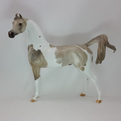 JOY & HAPPINESS - OOAK Dapple Gray Pinto Marwari Arabian - 12/14