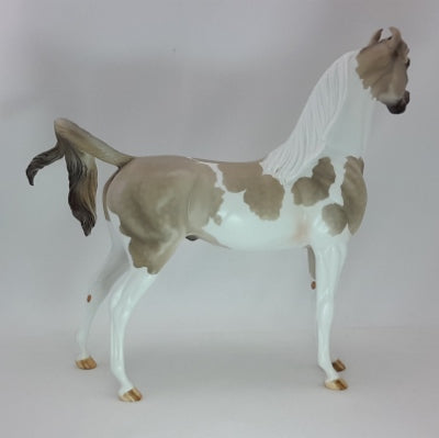 JOY & HAPPINESS - OOAK Dapple Gray Pinto Marwari Arabian - 12/14