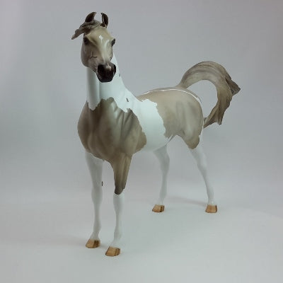 JOY & HAPPINESS - OOAK Dapple Gray Pinto Marwari Arabian - 12/14
