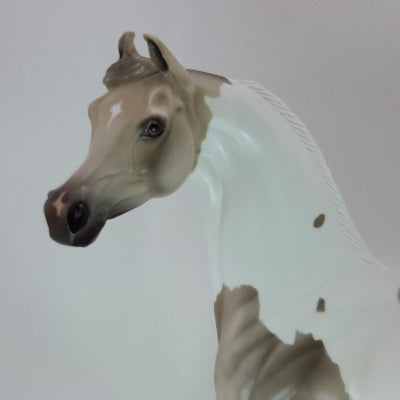 JOY & HAPPINESS - OOAK Dapple Gray Pinto Marwari Arabian - 12/14