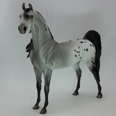 FROSTY WINDOWS - OOAK Appaloosa Arabian 12/14