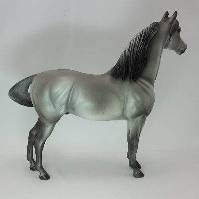 BLIZZARD - OOAK Gray Morgan 12/14