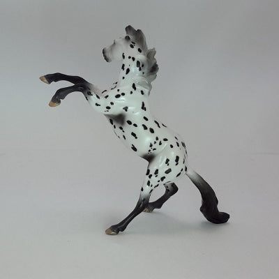 BLOWING SNOW - OOAK Leopard Appaloosa Model Horse Chip -12/14