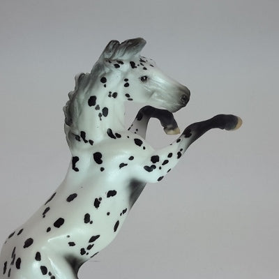 BLOWING SNOW - OOAK Leopard Appaloosa Model Horse Chip -12/14