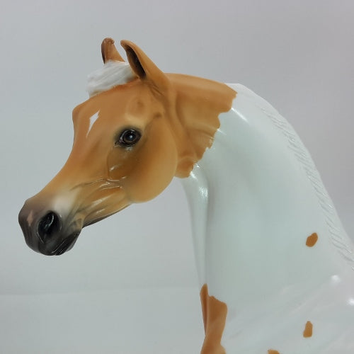 JOY OF A STAR - OOAK Dapple Palomino Pinto Marwari 12/14