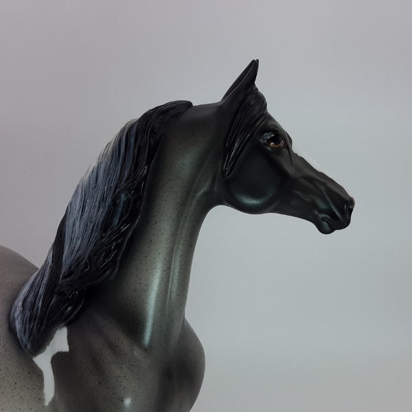 RADIANT BEAMS - OOAK Blue Roan Morgan Tobiano Pinto - 12/14