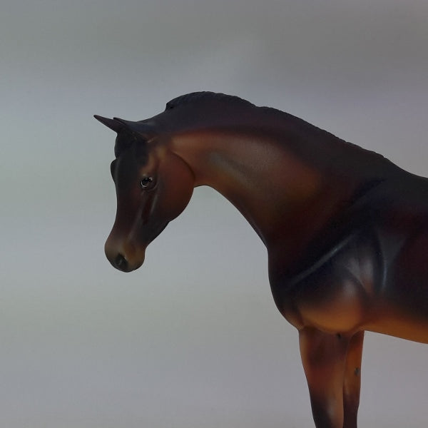 BLOW ME AWAY - OOAK Seal Bay Appaloosa Pebbles 12/14