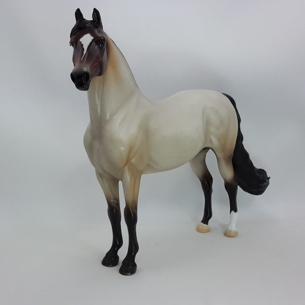 CAVALLI - OOAK Bay Roan Morgan 12/14