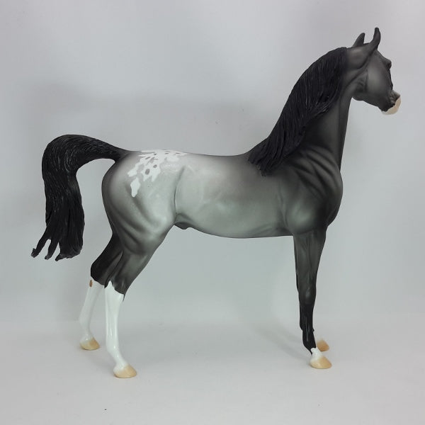HOPE ("FOR A NEW YEAR") - OOAK Gray Blanket Appaloosa Arabian - 12/14