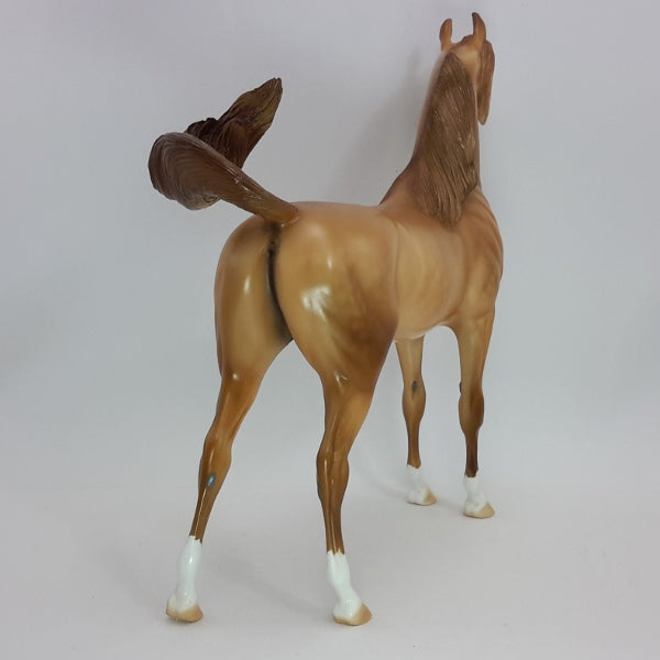 LIVIN' IT UP - OOAK Dapple Chestnut Arabian 1/15