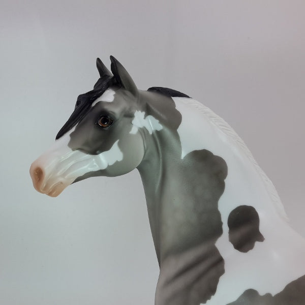 MAJESTIC - OOAK Dapple Gray Pinto Morgan 1/15