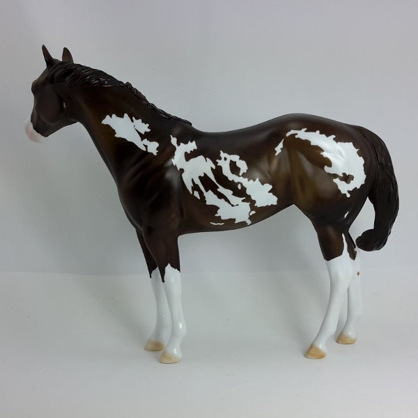 COCOA EXPRESS - OOAK Dapple Brown Paint Stock Horse 1/15