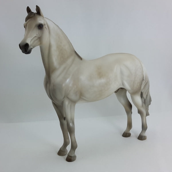 CONCERN - OOAK Dapple Light Gray Morgan 1/15