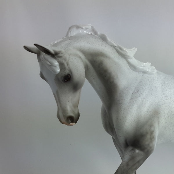 BODYLAB - Fleabit Gray Thoroughbred LE2 1/15