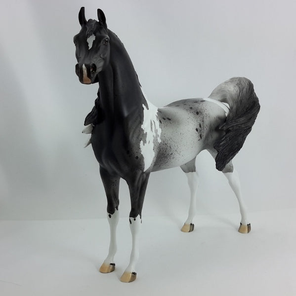 ORIGAMI - OOAK Pintaloosa Arabian 1/15