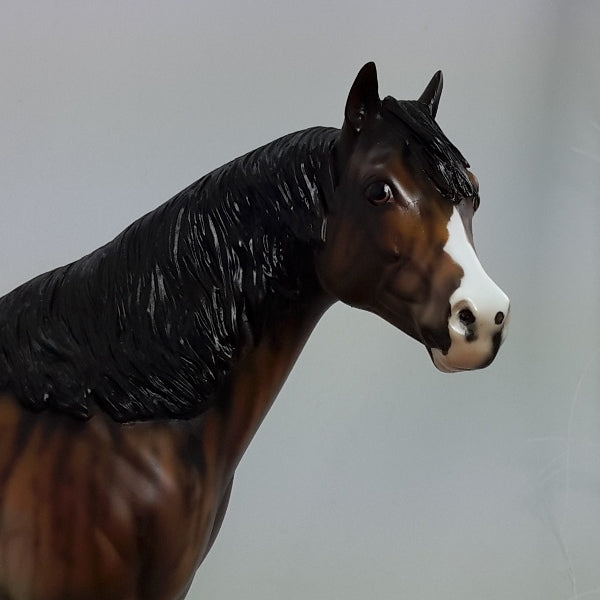 POPSUGAR - OOAK Bay Brindle Stock Horse 1/15