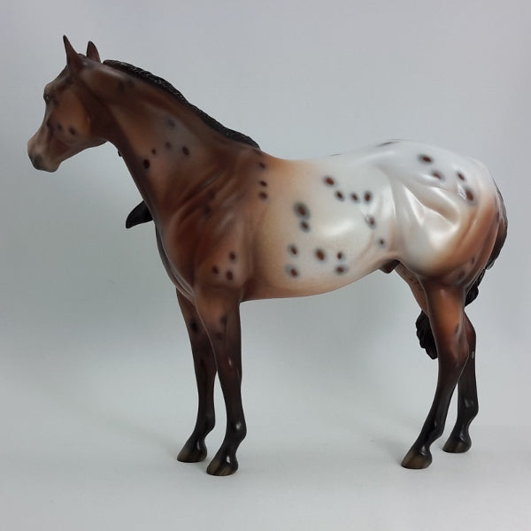 SPOTIFY - OOAK Chestnut Appaloosa Model Horse - 1/15