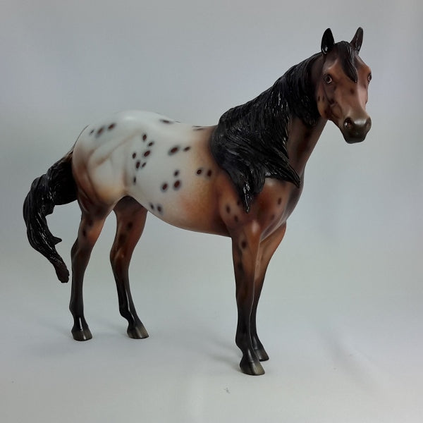 SPOTIFY - OOAK Chestnut Appaloosa Model Horse - 1/15