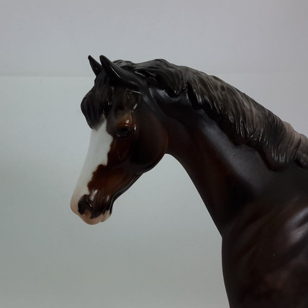 FOXGLOVE - Dark Dapple Rose Gray Bushy Pony 2015 Edition