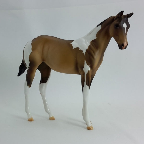 FORGET ME NOT - Dun Tobiano Paint Weanling 2015 Edition