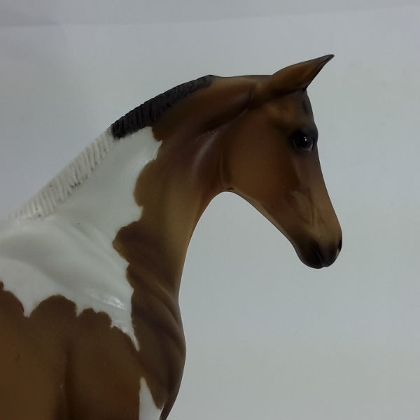 FORGET ME NOT - Dun Tobiano Paint Weanling 2015 Edition