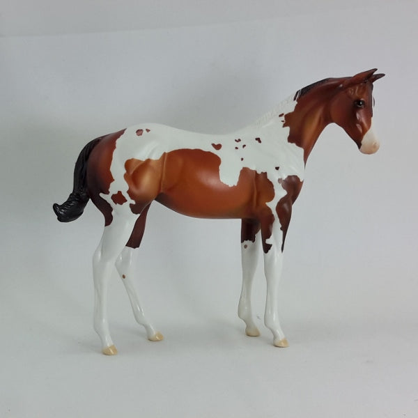 LOVE POTION - OOAK Bay Paint Weanling 2/15