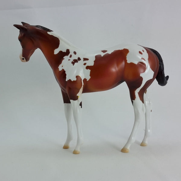 LOVE POTION - OOAK Bay Paint Weanling 2/15