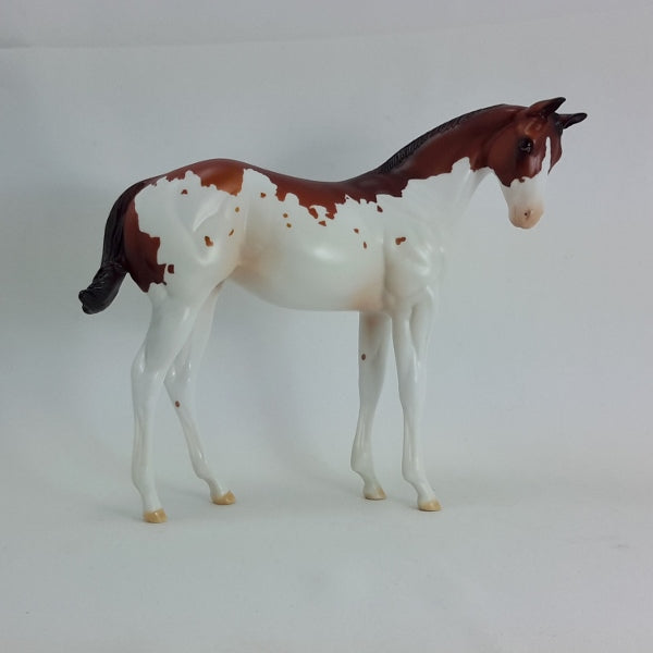 LOVE DANCE - OOAK Bay Splash Paint Weanling 2/15