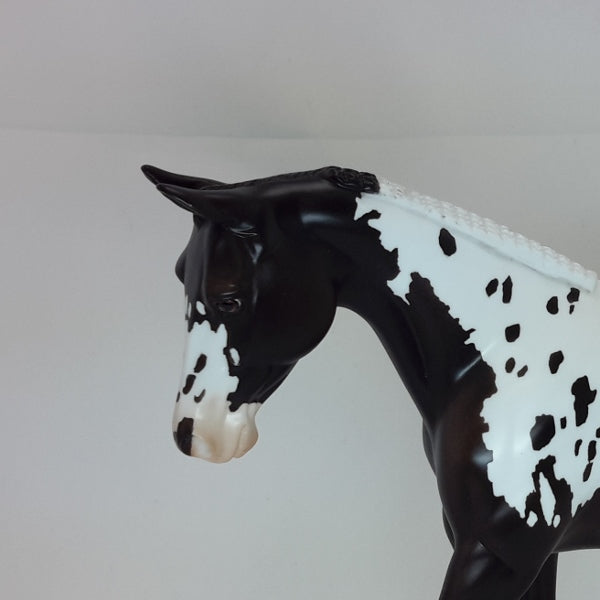 INFATUATION - OOAK Black Appaloosa Braided Palouse 2/15