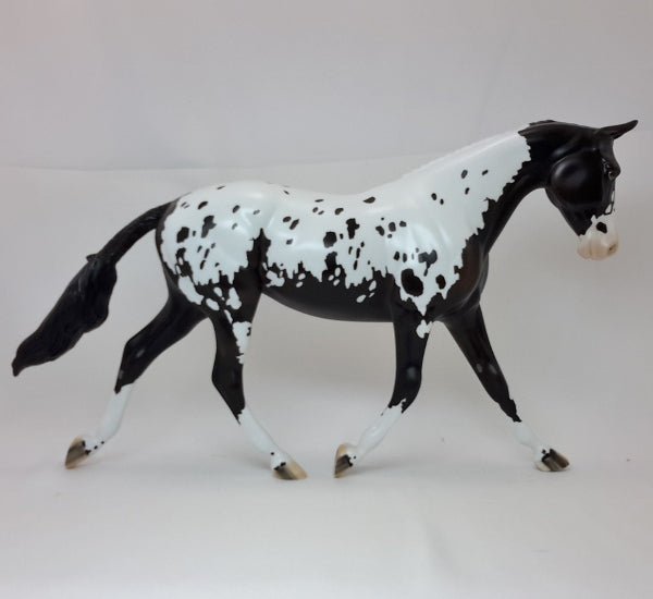INFATUATION - OOAK Black Appaloosa Braided Palouse 2/15