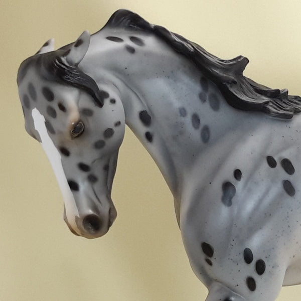 HELLO IN THERE - OOAK Pinned Ear Appaloosa Thoroughbred 3/15