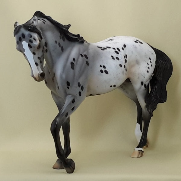 HELLO IN THERE - OOAK Pinned Ear Appaloosa Thoroughbred 3/15