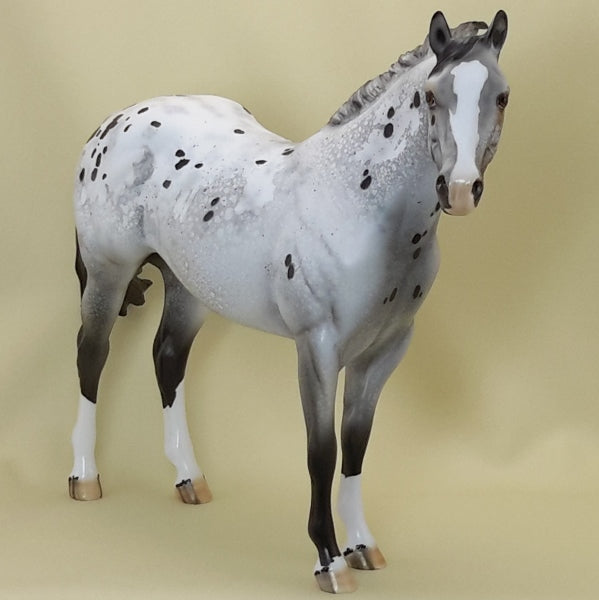 PAW PAW PATCH - OOAK Appaloosa Stock 3/15