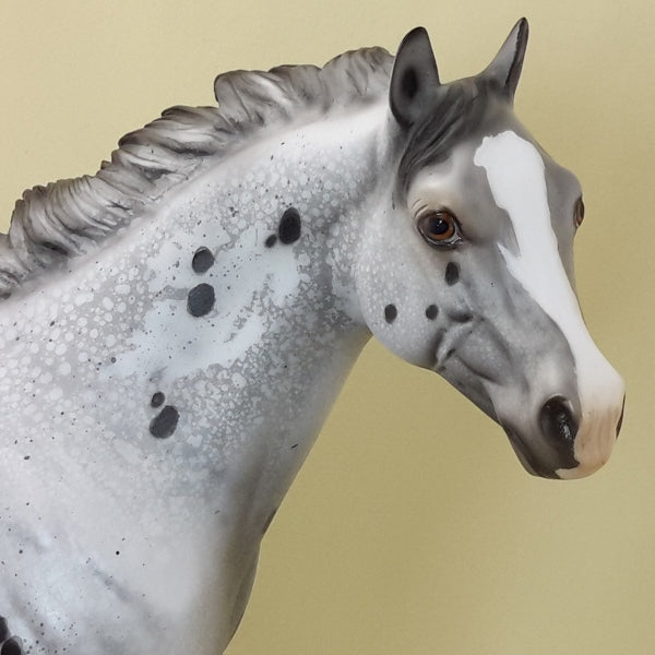 PAW PAW PATCH - OOAK Appaloosa Stock 3/15