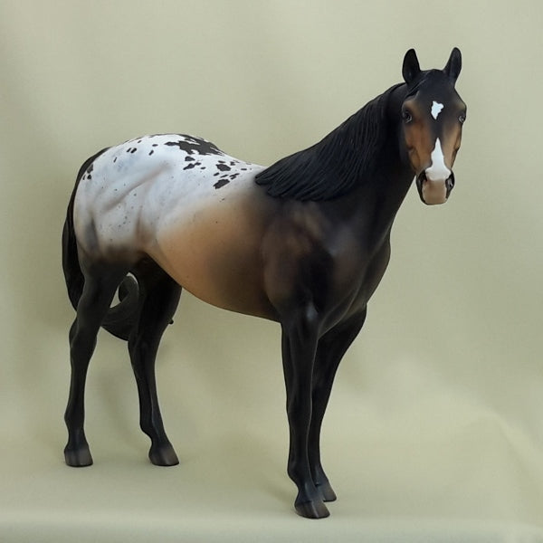 DIAMONDS AND RUST - OOAK Bay Appaloosa Stock 3/15