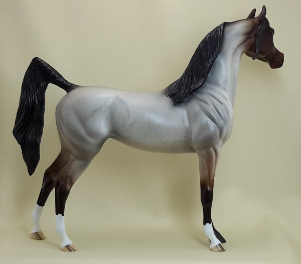 TAM LIN - Bay Roan Arabian LE5 3/15