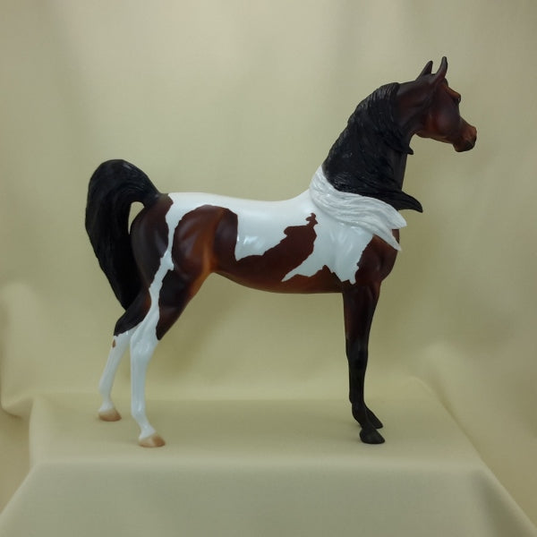 MATTY GROVES - OOAK Bay Pinto Arabian Wind Blown 3/15