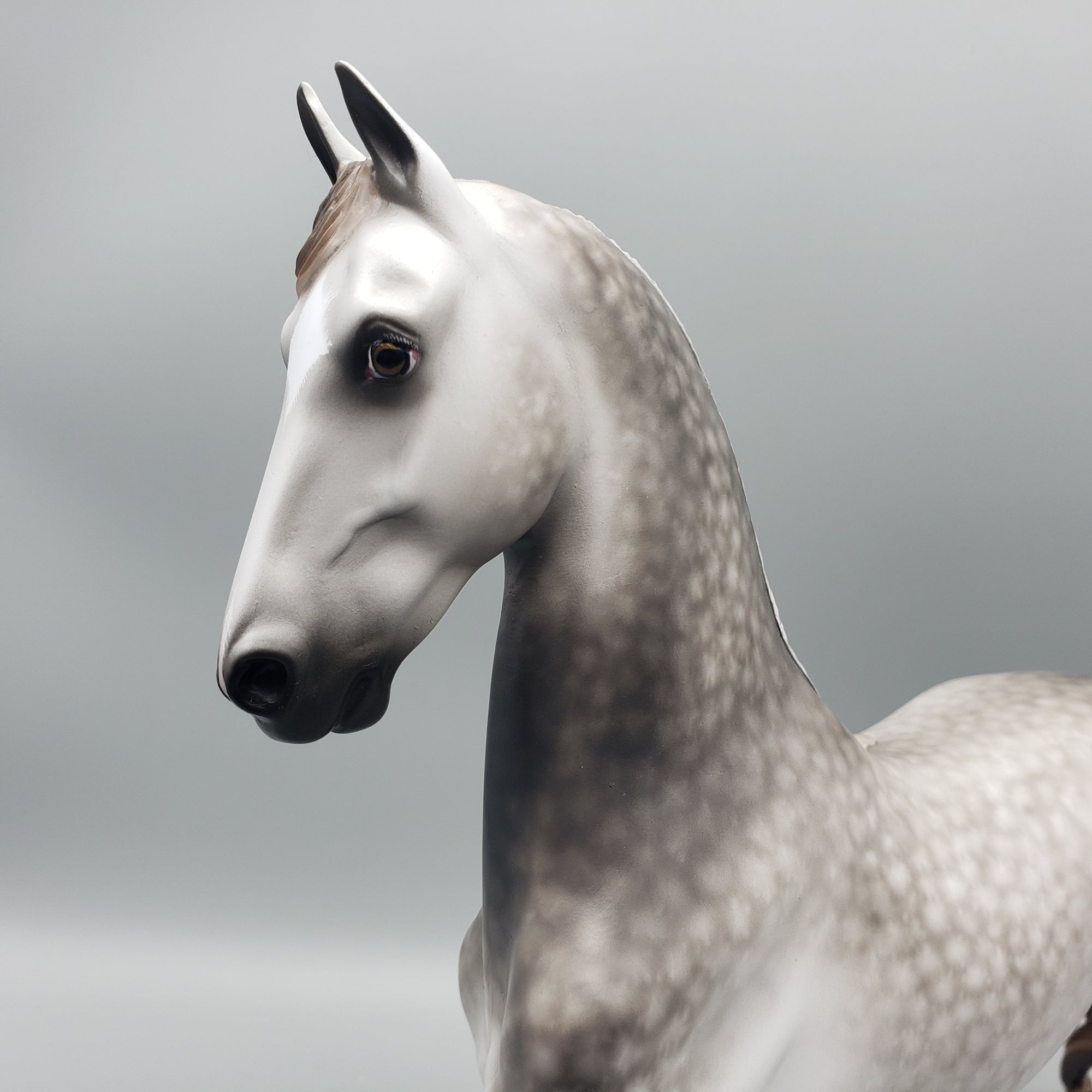 Splendid OOAK Dappled Grey Saddlebred by Sheryl Leisure - Best Offers 1/22/24