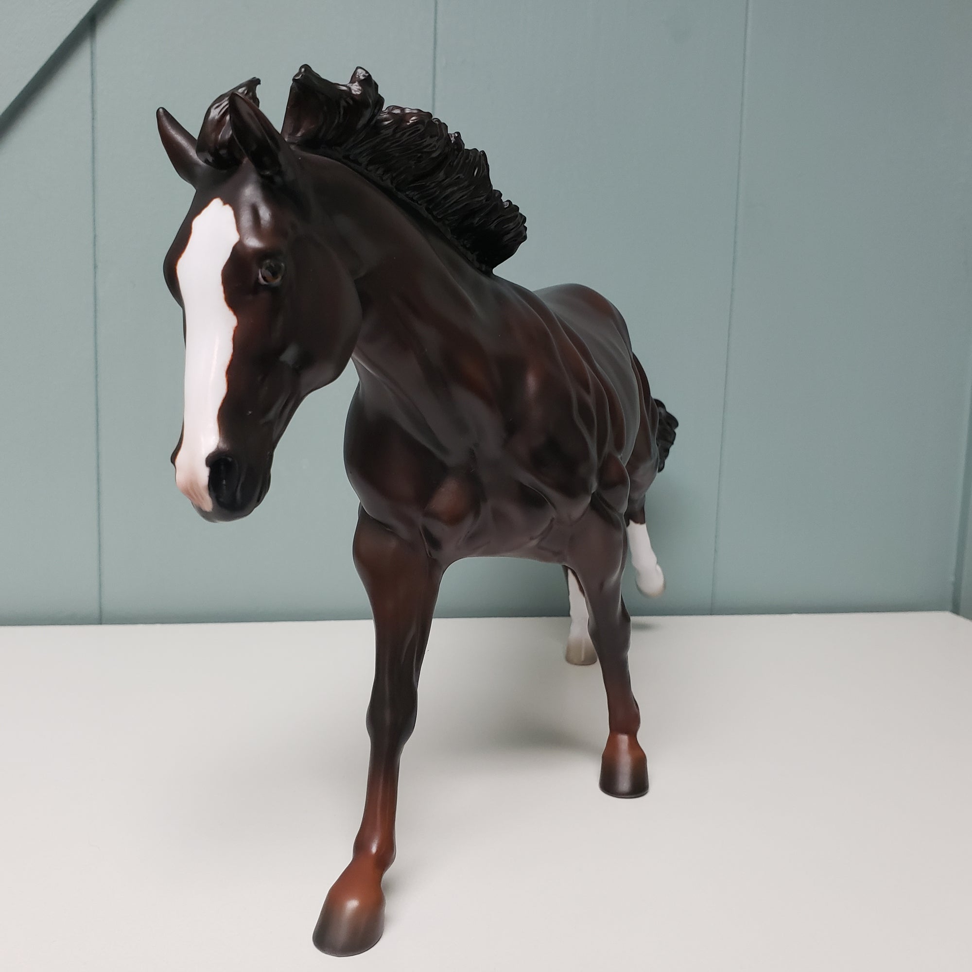 Red Hot Color - LE-20 SHCF Guest Horse Portrait Run - Dark Chestnut Running Stock Horse By Jess Hamill- SHCF24