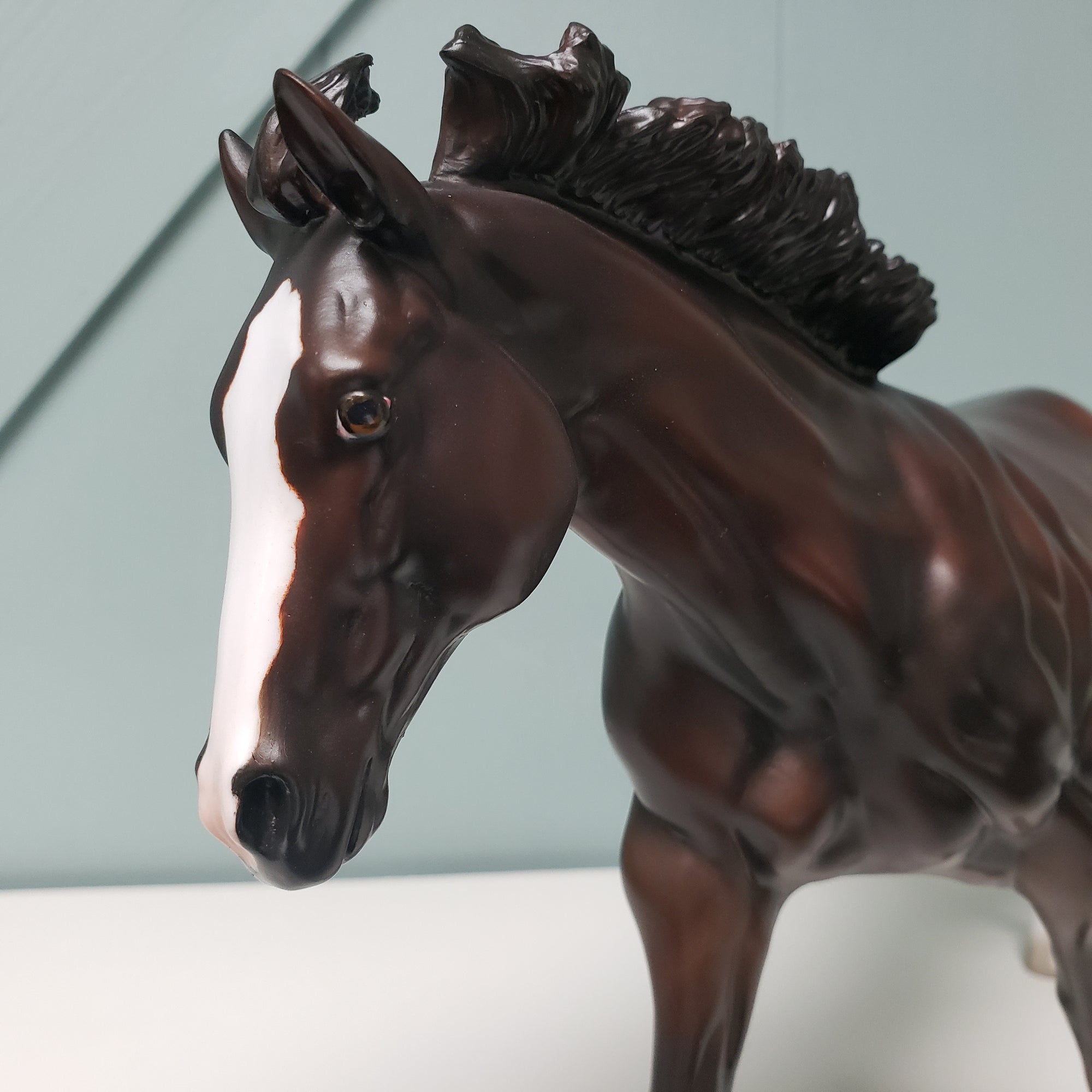 Red Hot Color - LE-20 SHCF Guest Horse Portrait Run - Dark Chestnut Running Stock Horse By Jess Hamill- SHCF24